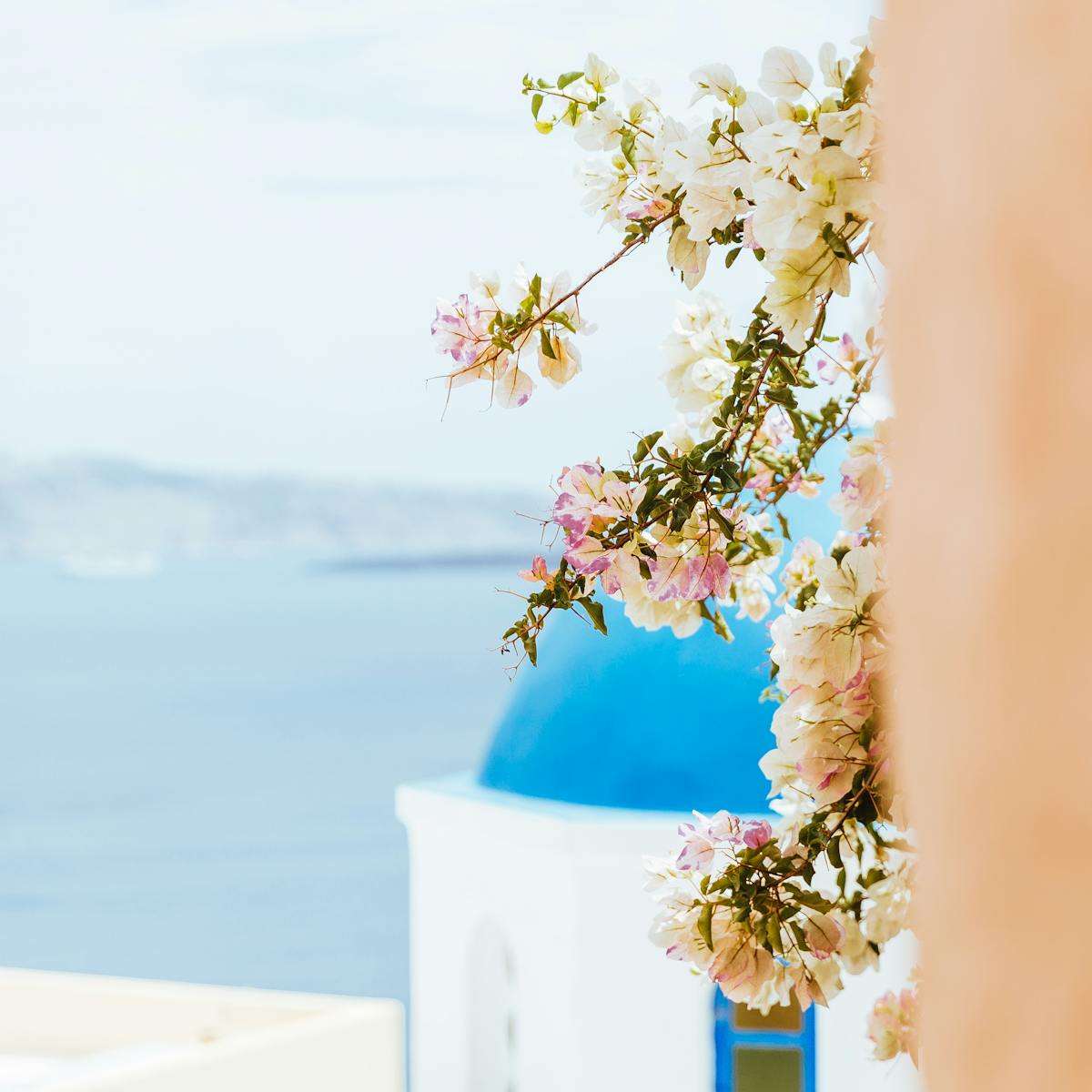 pexels photo 10747575 1