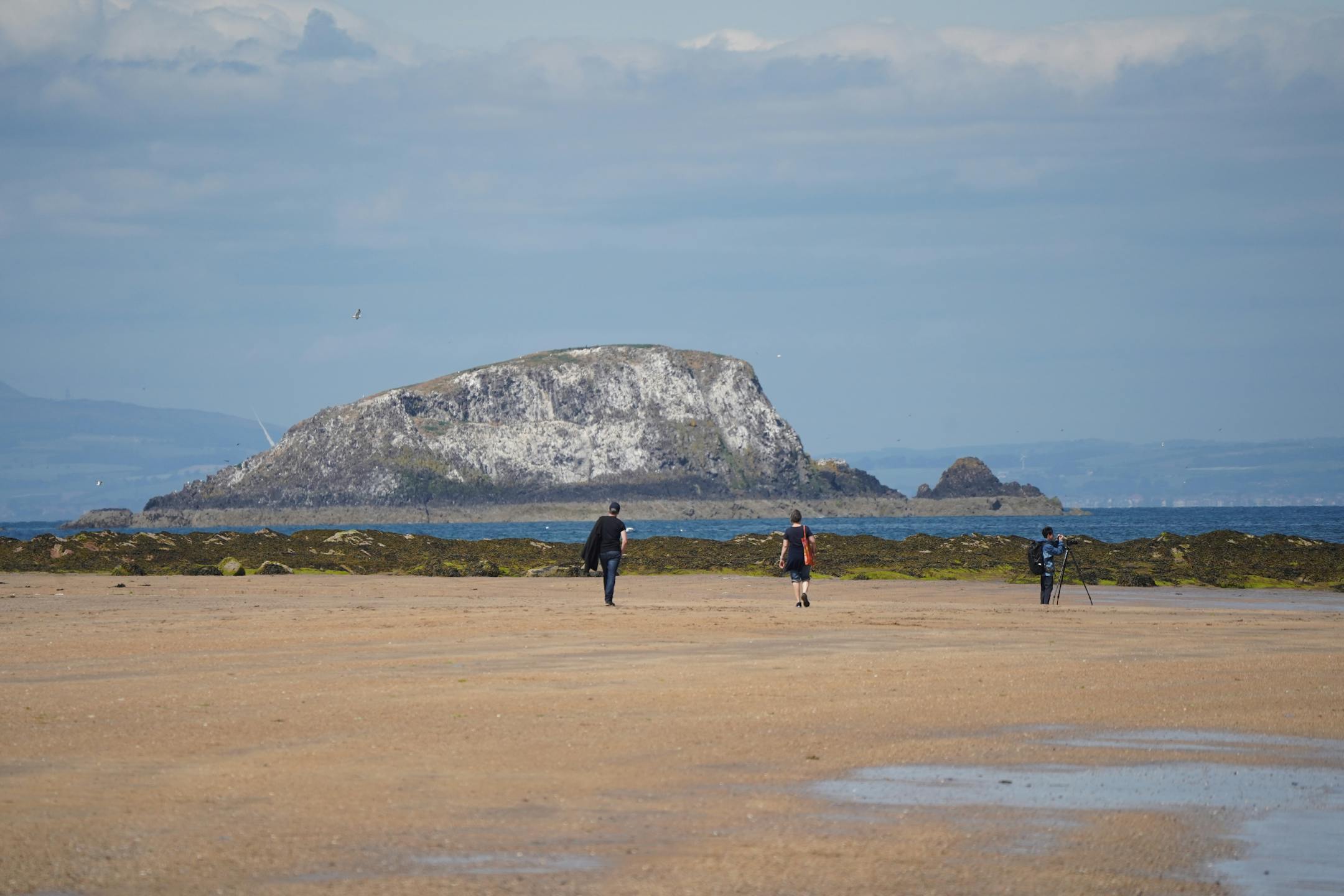 pexels photo 35373593 1