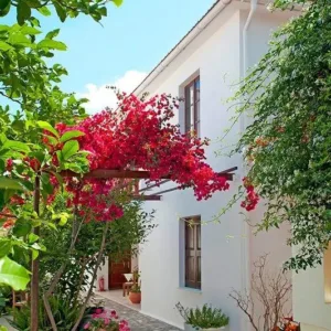 Maria Studios & Appartementen Samos Kokkari Griekenland