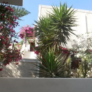 Dolphins Appartementen Santorini Thira Griekenland