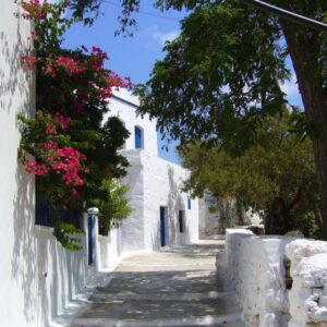 22-daagse reis Athene - Andros - Tinos - Paros - Amorgos - Naxos - Santorini
