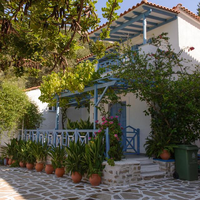Aparthotel Blue Horizon Samos Psili Ammos Votsalakia Griekenland