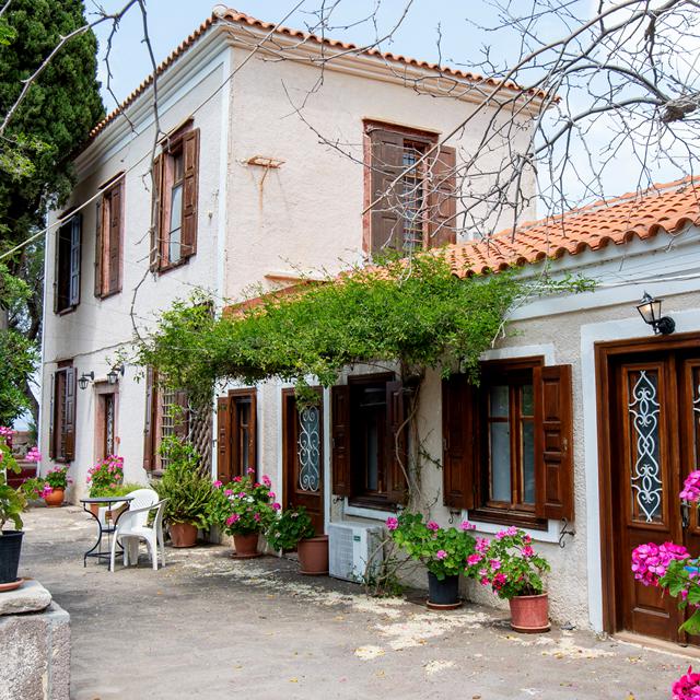 Appartementen Lela Kaptani Eftalou Olive Grove Lesbos Molivos Eftalou Griekenland